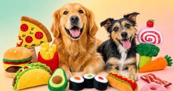 PetWireDaily — 13 Food-Themed Dog Toys From Chewy That Are Seriously Cute