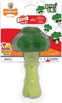 Nylabone Power Chew Broccoli Dog Toy Bacon Cheese