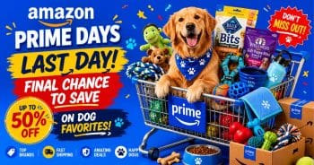 PetWireDaily — Amazon Prime Day Ends Today: Last Call for These Dog Deals!