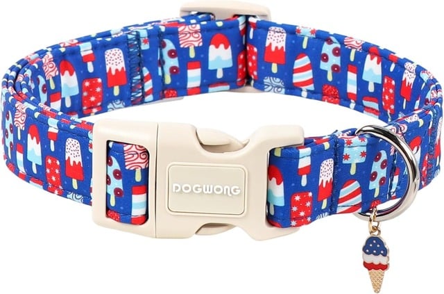 Summer popsicle patriotic dog collar with red white and blue pattern