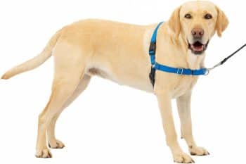 PetSafe Easy Walk No-Pull Dog Harness