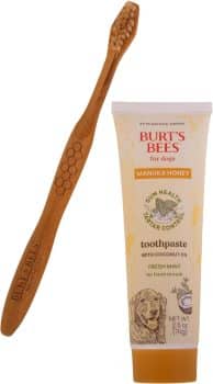 Burt's Bees Manuka Honey Fresh Mint Dog Dental Kit,
