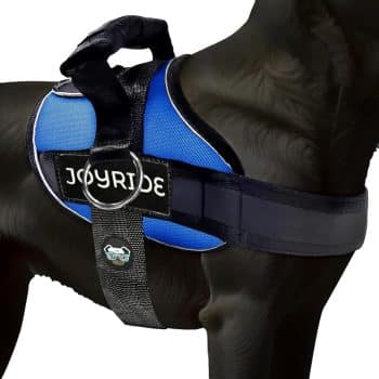 Joyride Harness 2.0 - The Original Side Ring No Pull Dog Harness