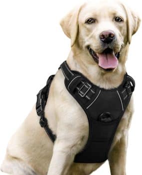 abbitgoo Dog Harness No Pull with 2 Leash Clips