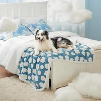 LE SURE Waterproof Dog Blanket