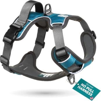 Embark Adventure No-Pull Large Dog Harness
