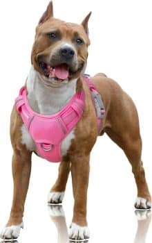 BARKBAY No Pull Dog Harness Large Reflective Dog Harness