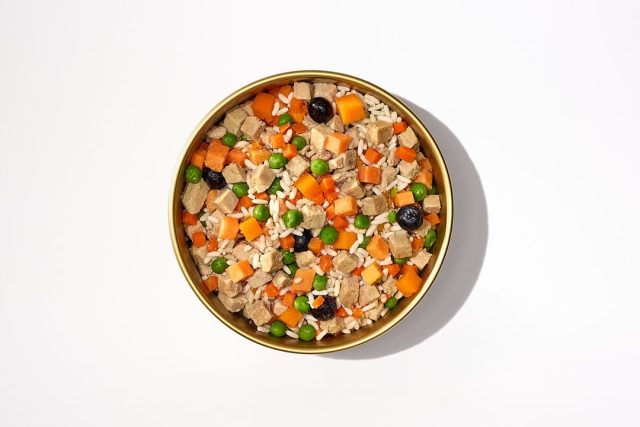 Golden Child Chicken & Veggies fresh dog food with carrots, squash, and blueberries