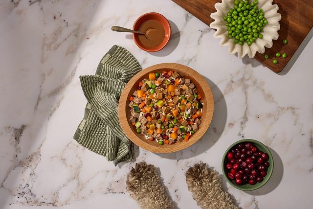 Bowl of Golden Child fresh dog food with whole meat, vegetables, and fruit