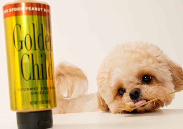 Golden Child Drizzles functional dog food toppers in no-mess squeeze bottles