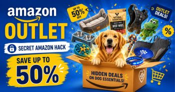 PetWireDaily — This Secret Amazon Hack Could Save You Up to 50% on Dog Essentials