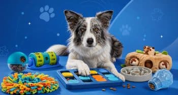 PetWireDaily — Is Your Dog Bored? These Chewy Puzzle Toys Can Help