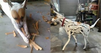 Artist Honors His Late Dog With Driftwood They Collected Together