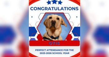 Therapy Dog Celebrated For a Year of Perfect School Attendance