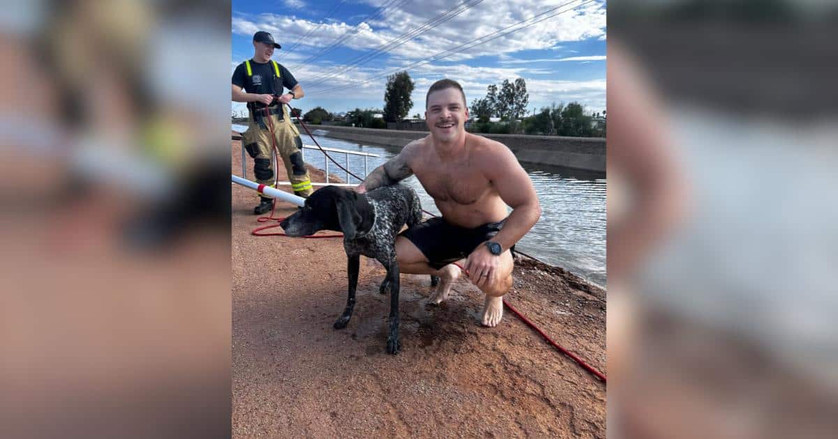 Epileptic Dog Missing After Monsoon Rescued From Canal by Firefighters