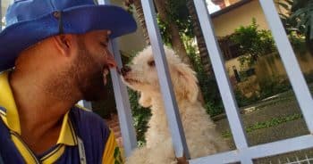 PetWireDaily — Dogs Usually Bark at the Mailman, but These Dogs Can’t Wait to See Him
