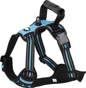 EliteField Padded Reflective No Pull Dog Harness,