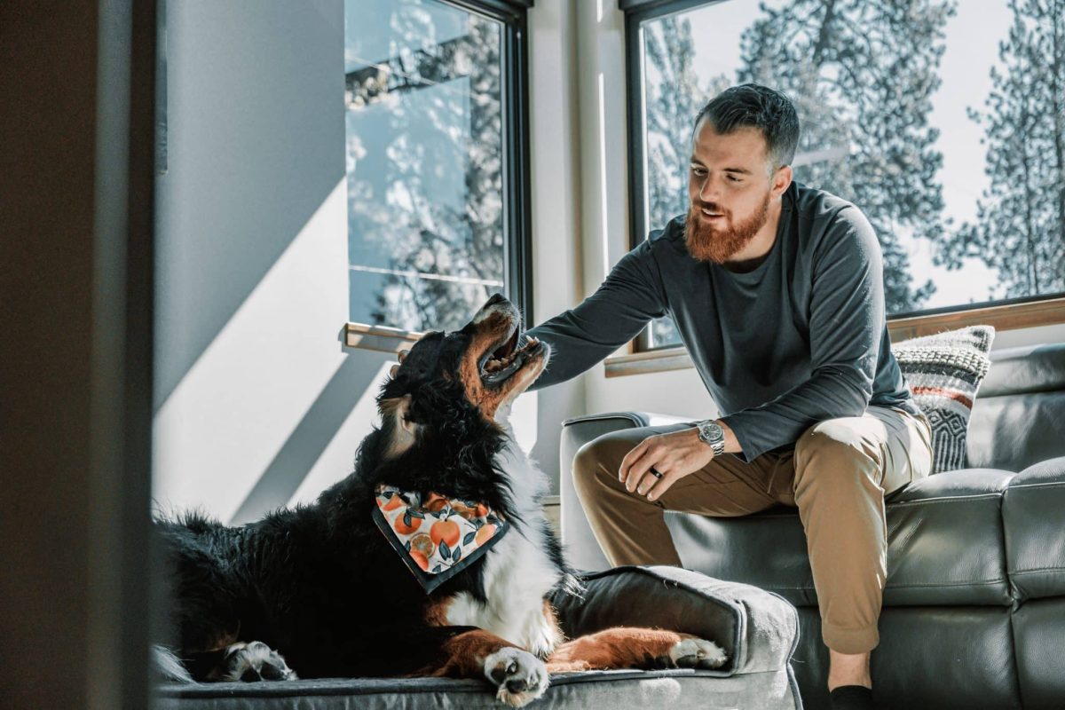 Bernese Mountain Dog sharing calm affection with its gentle and loyal personality.