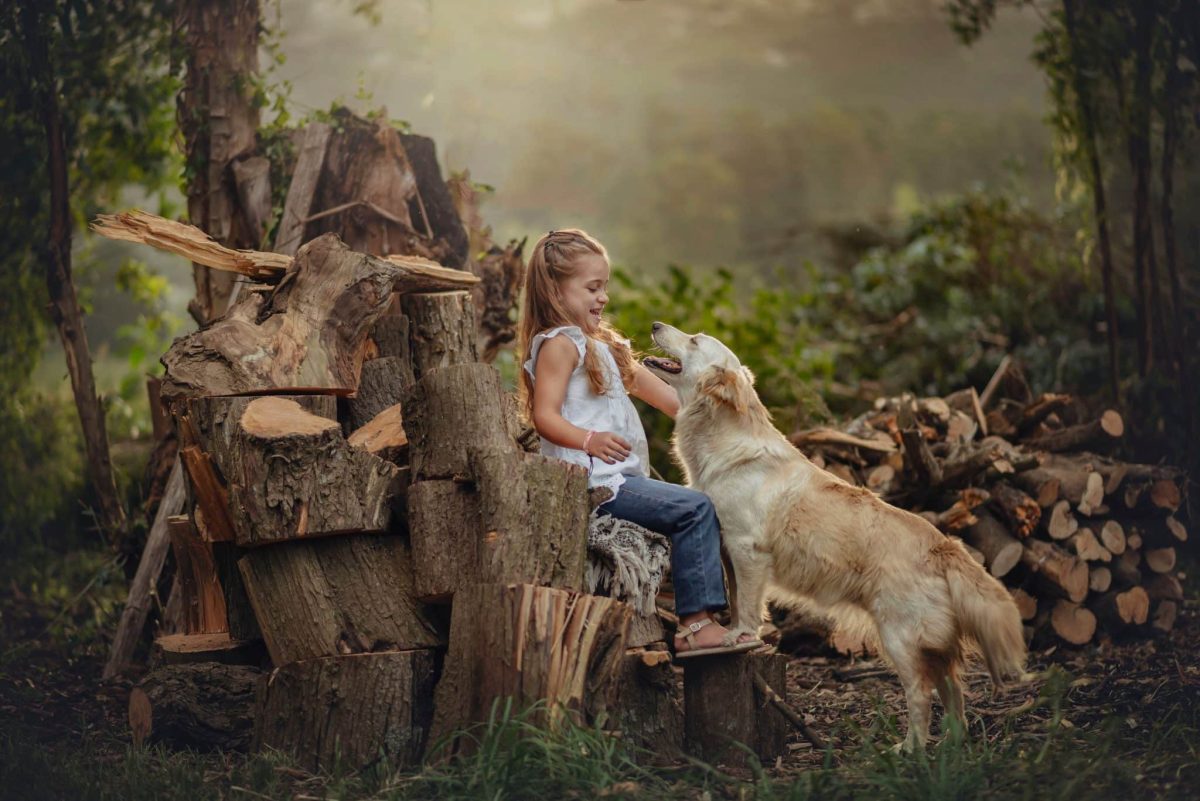 Golden Retriever showing gentle loyalty with a sweet and affectionate personality.