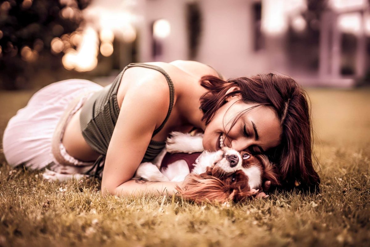 Cavalier King Charles Spaniel expressing gentle affection and loyal companionship every day.