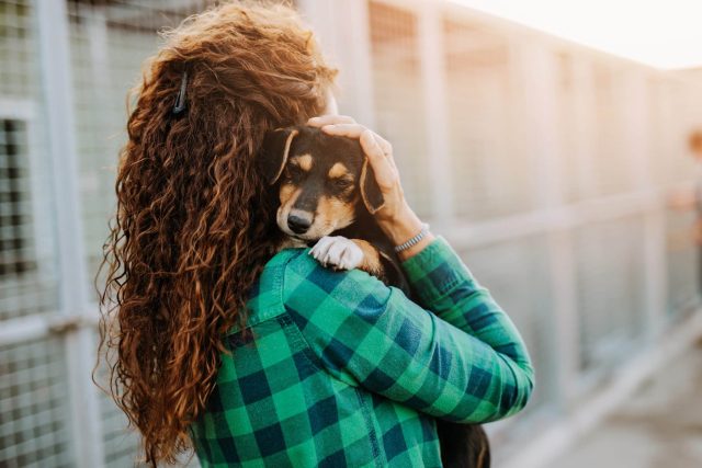 Newly adopted puppy with owner, ready for proper first-year puppy feeding