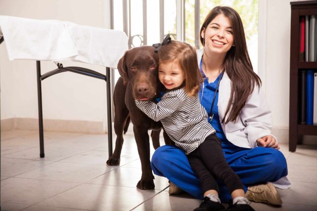 Veterinarian sitting with a chocolate Labrador and young girl, illustrating why vets recommend human-grade dog food