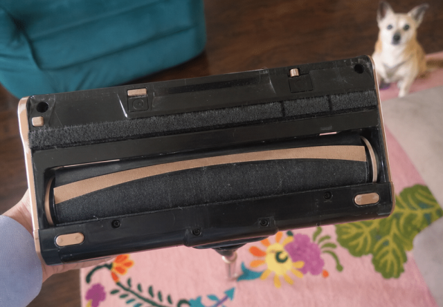 Tangle-free TripleStrike roller brush on the Levoit VortexIQ Pro with no dog hair wrapped around it