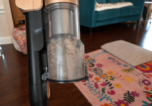 Levoit VortexIQ Pro dust bin filled with dog hair after one pass in a two-dog household