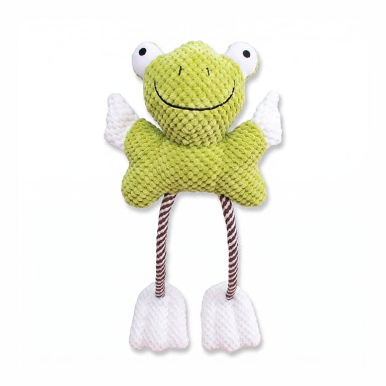 Hoppy Frog Plush & Rope Squeaky Dog Toy