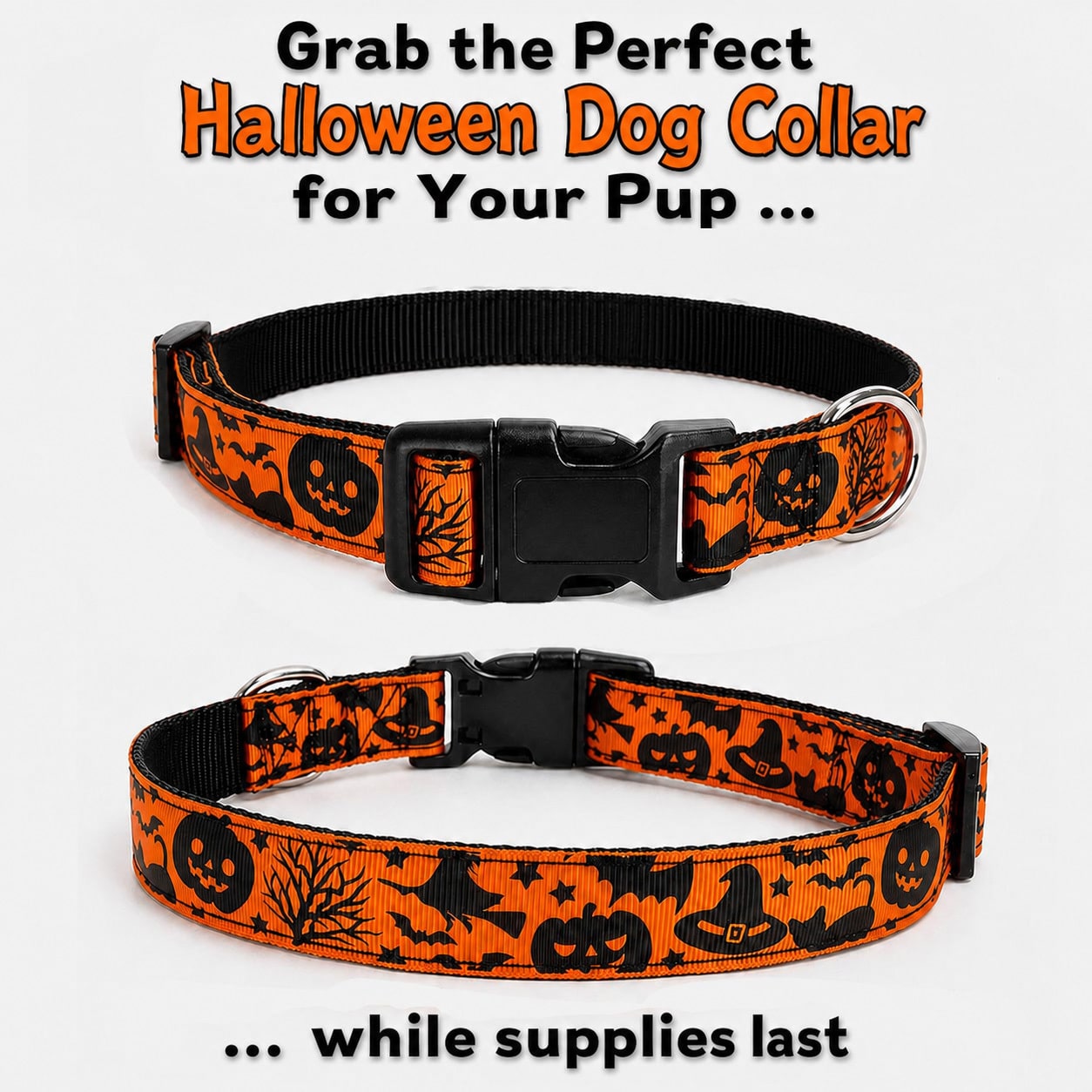Halloween Dog Collar S-XL - Image 3