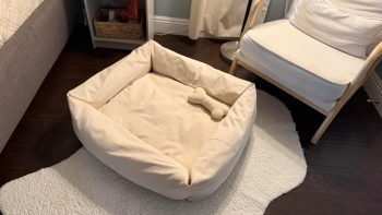 Rectangular Natural Cotton Canvas Dog Bed