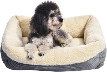 Amazon Basics Anti-Slip Self-Warming Pet Bed