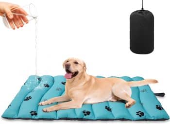 BINGPET Outdoor Travel Dog Bed