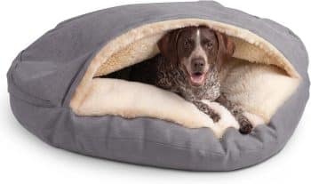 Snoozer Cozy Cave Dog Bed
