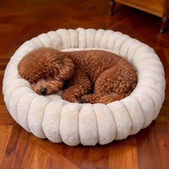 
Vhen When Donut Small Dog Bed