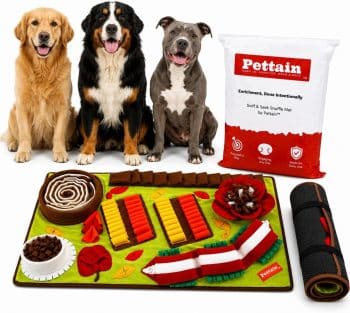 Pettain Snuffle Mat for Dogs - XL 32x20 Foraging & Slow Feeder Puzzle 