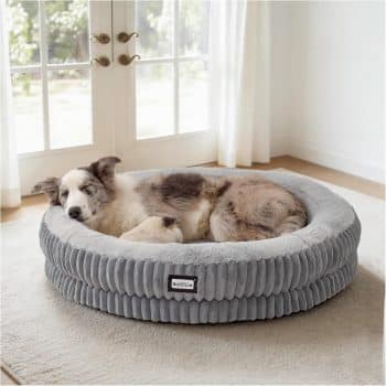 BALANCE Donut Dog Bed