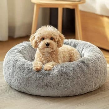 JOLLYVOGUE Small Dog Bed