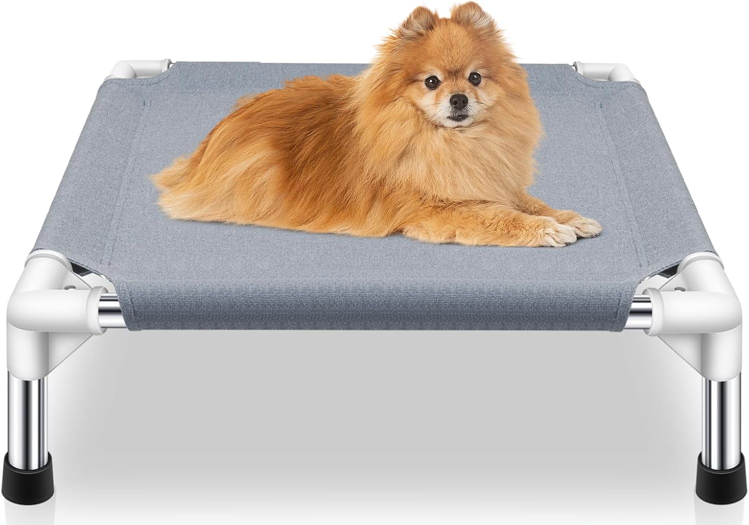 Elevated Dog Bed for Small Dogs