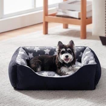 GASUR Small Dog Beds Small Size Dogs