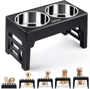 EliteField Adjustable Height Dog Bowl, Black