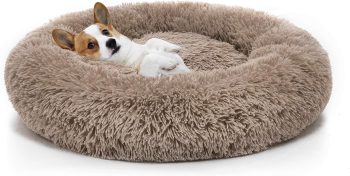 MIXJOY Orthopedic Dog Bed