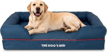 The Dog’s Bed Orthopedic Memory Foam Dog Bed