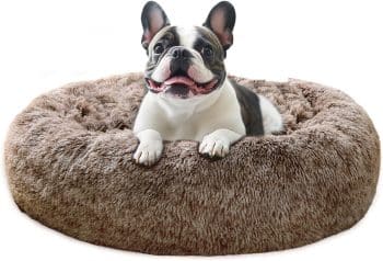 
JOLLYVOGUE Calming Dog Bed Medium Size Dog
