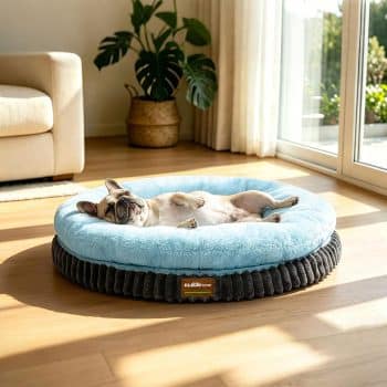 ClevaHome Orthopedic Dog Bed