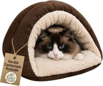 SPOT Sleep Zone Cuddle Cave Pet Bed