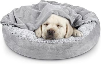 JOEJOY Small Dog Bed Cat Bed with Hooded Blanke