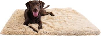 Best Friends by Sheri Throw Calming Shag Ultra Soft Faux Fur Cat & Dog Blanket,