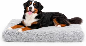 Trusted Choice Market Dog Bed