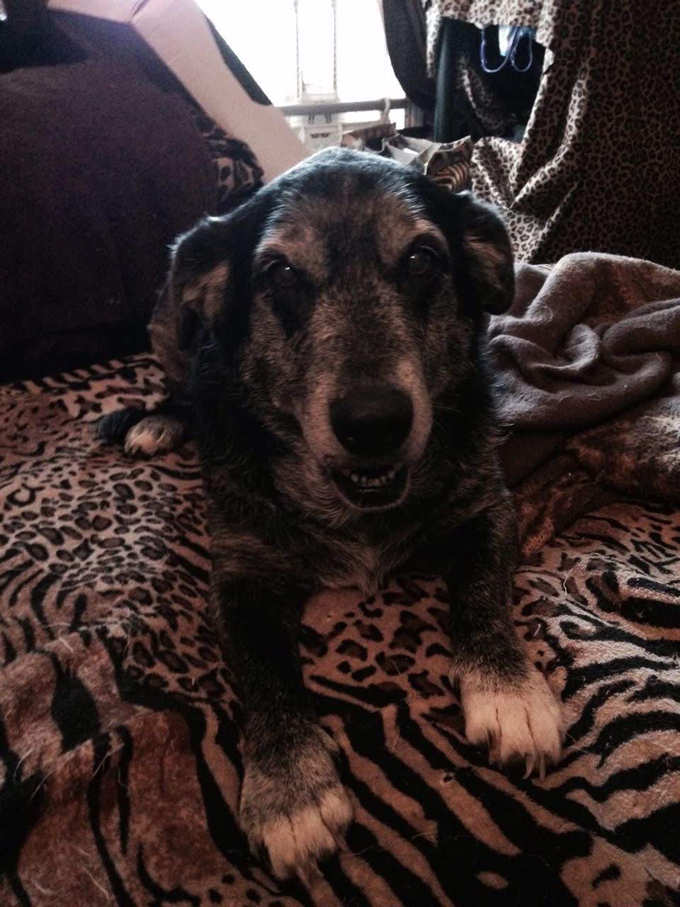 Roxy